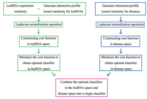 Long non-coding RNAs and complex diseases: from experimental results to computational models